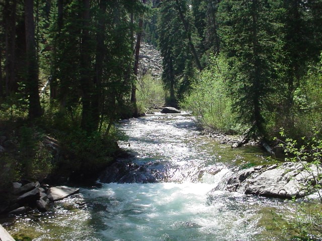 DSC00023.JPG